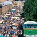 Hobart Half-Day Sightseeing Coach Tram Tour