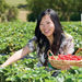 Mornington Peninsula Day Tour from Melbourne, Melbourne, from Viator.com