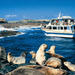 Phillip Island Nature Park and Wildlife Seals Cruise