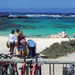 Rottnest Island Day Trip from Perth