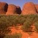 Uluru (Ayers Rock) and The Olgas Tour Including Sunset Dinner from Alice Springs