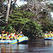 Corobici Nature Float, Guanacaste, from Viator.com