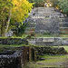 Lamanai and the New River Safari in Belize