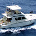 Deep Sea Fishing Private Boat Charter in San Juan, San Juan, from Viator.com