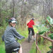 Kilauea Volcano and Wine Tasting Bike Tour
