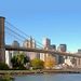 Brooklyn Sightseeing Tour
