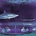 Kelly Tarlton's Antarctic Encounter
