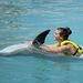 Cozumel Dolphin Swim and Ride
