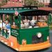 Old Town Trolley Tour of St Augustine