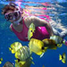 10% Off St Kitts Shore Excursion: Pelican Cove Snorkel Tour