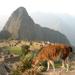 7-Day Lima and Cusco Tour with Overnight at Machu Picchu