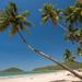 Private Tour: 5-Day Goa and Mumbai from Delhi