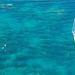 Green Island Sailing Cruise from Cairns