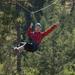 30% Off Victoria Shore Excursion: Small-Group Zipline Adventure