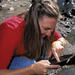 15% Off Juneau Shore Excursion: Gold Panning and Salmon Bake Combo Tour