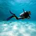 5% Off Bermuda Shore Excursion: 2-Tank Certified Scuba Dive