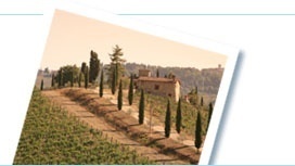 Popular tours and things to do in Italy