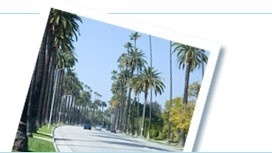 Popular tours and things to do in Los Angeles