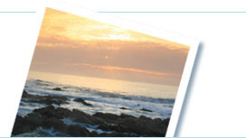 Popular tours and things to do in Los Cabos