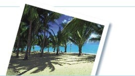 Popular tours and things to do in Mexico