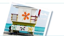 Popular tours and things to do in Miami, Florida