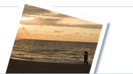 Popular tours and things to do in Puerto Vallarta