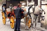 Private Horse and Carriage Tour of Seville